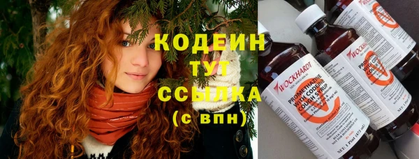 не бодяженный Алексин