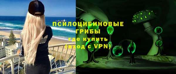 не бодяженный Алексин